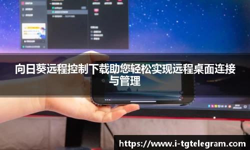 向日葵远程控制下载助您轻松实现远程桌面连接与管理